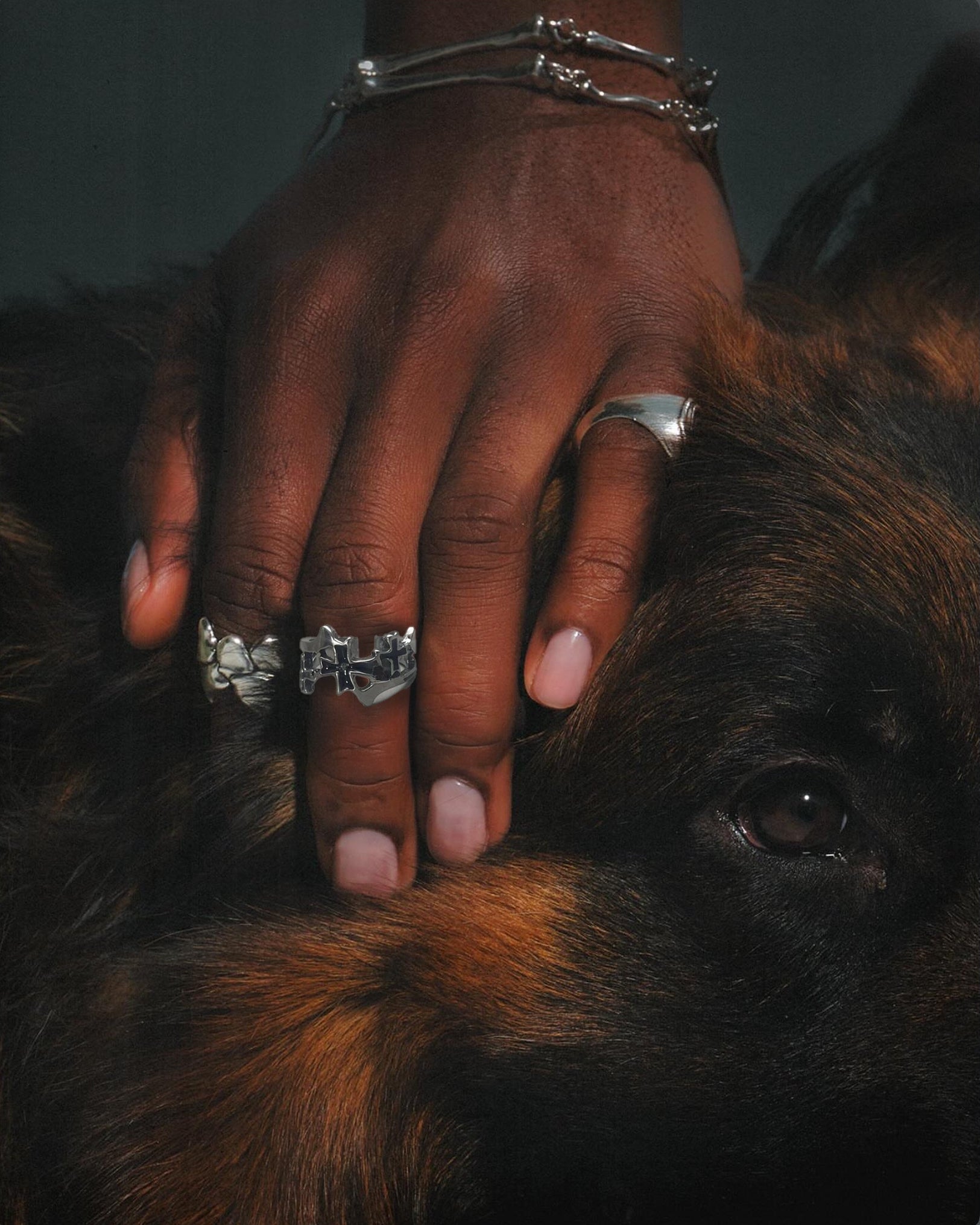 Hand wearing silver rings and bracelets resting on a dog's fur